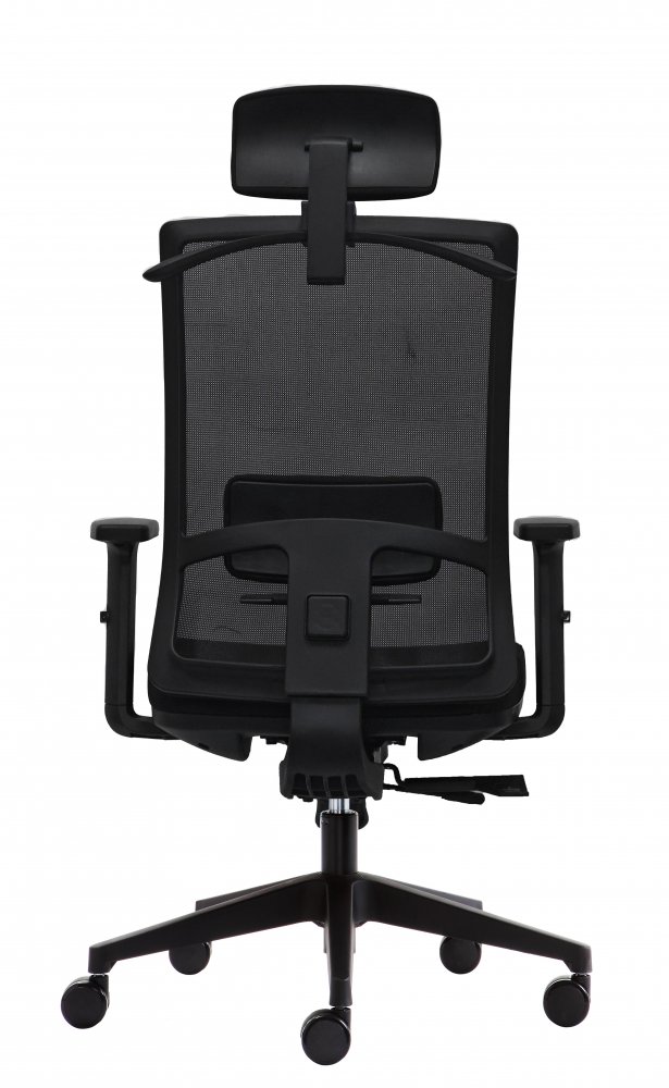Kancelářská ergonomická židle DVIS — více barev Černá (obrázek 24)