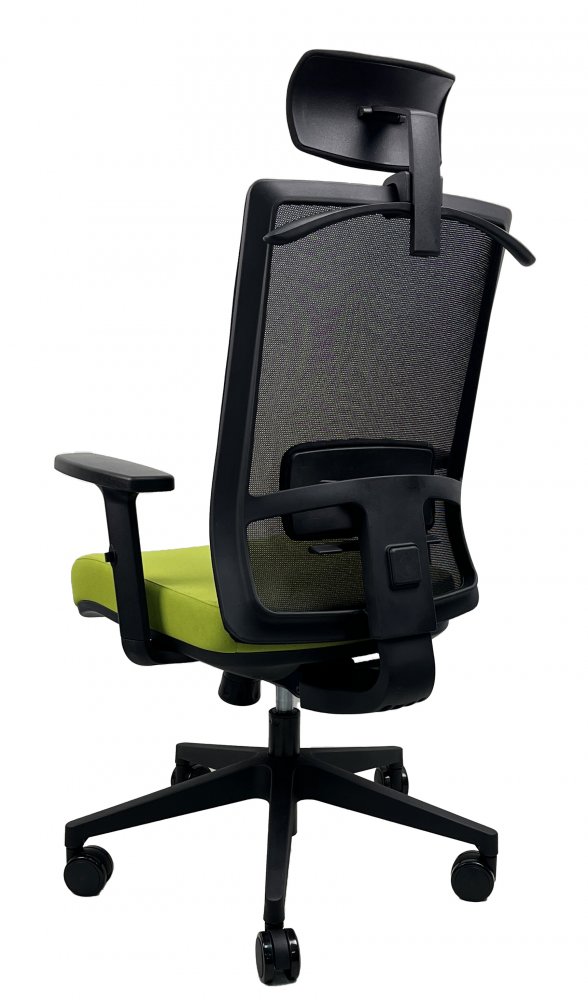 Kancelářská ergonomická židle DVIS — více barev Černá (obrázek 12)