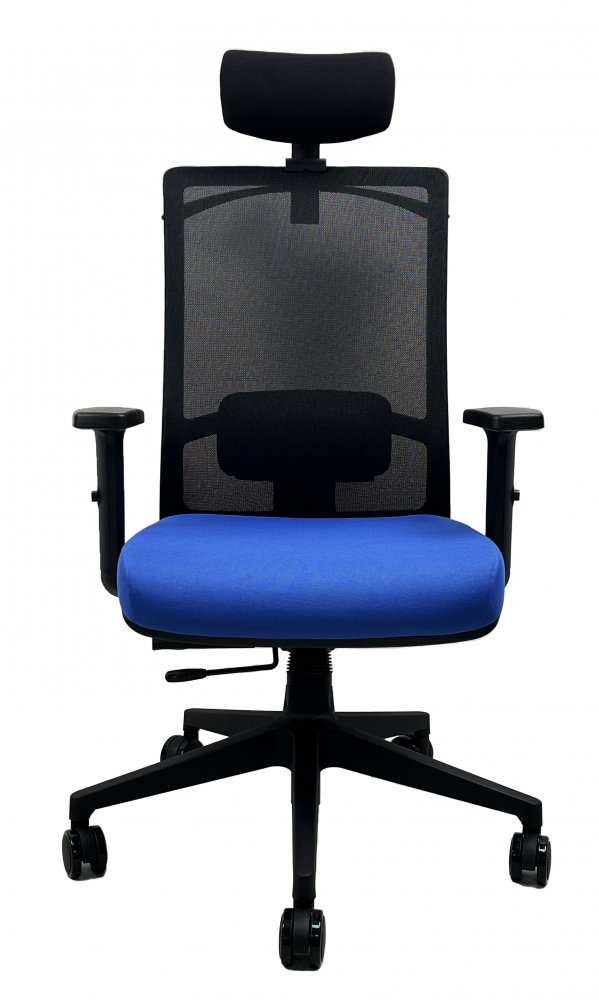 Kancelářská ergonomická židle DVIS — více barev Černá (obrázek 15)
