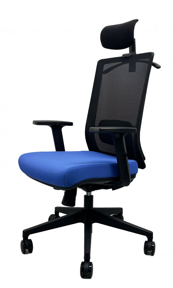Kancelářská ergonomická židle DVIS — více barev Černá (obrázek 21)