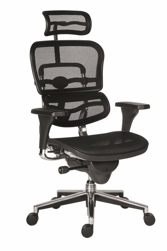 Manažerská židle Antares ERGOHUMAN – černá, síť, nosnost 150 kg
