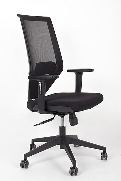 Kancelářská ergonomická židle IRIS — více barev