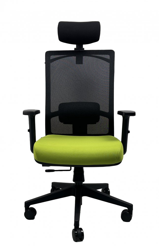 Kancelářská ergonomická židle DVIS — více barev Černá (obrázek 8)