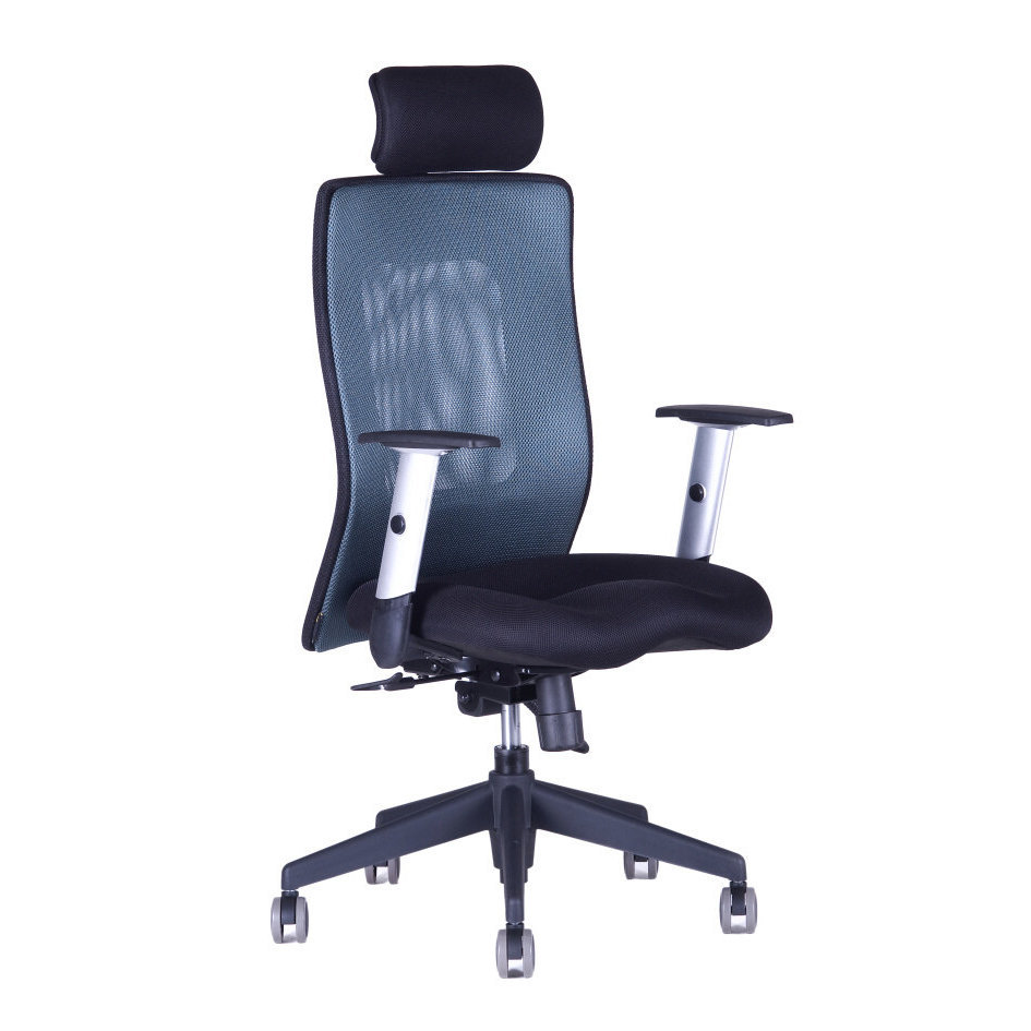 Kancelářská židle na kolečkách Office Pro CALYPSO XL SP1 - s područkami a podhlavníkem Antracit 1211