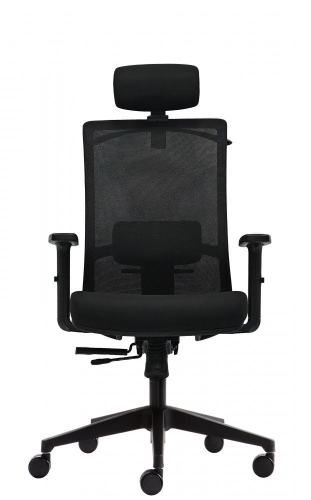 Kancelářská ergonomická židle DVIS — více barev Černá (obrázek 23)