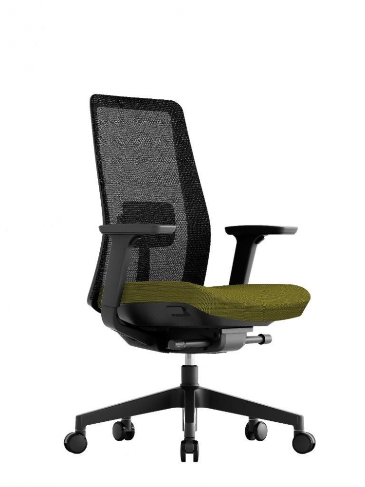 Kancelářská ergonomická židle OFFICE PRO K10 — více barev Zelená