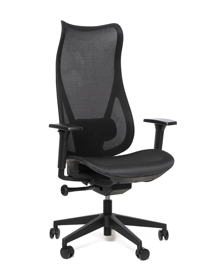 Levně Kancelářská ergonomická židle Sego HARMONY — síť, černá Sego