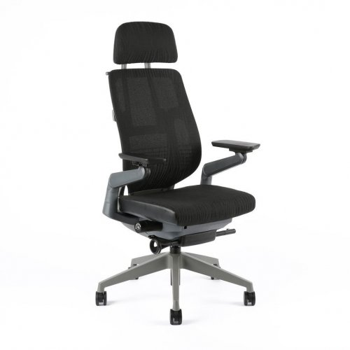 Kancelářská ergonomická židle Office Pro KARME MESH — více barev Černá A10