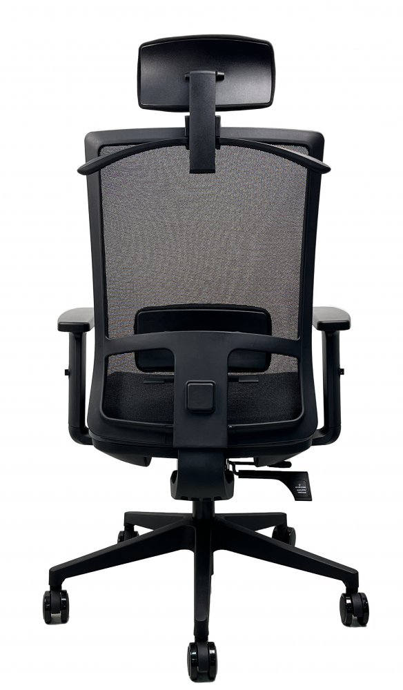 Kancelářská ergonomická židle DVIS — více barev Černá (obrázek 6)
